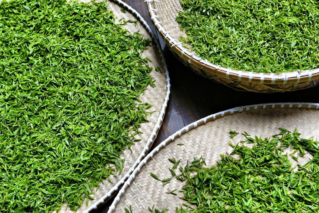 Landison Longjing Resort 항저우 외부 사진